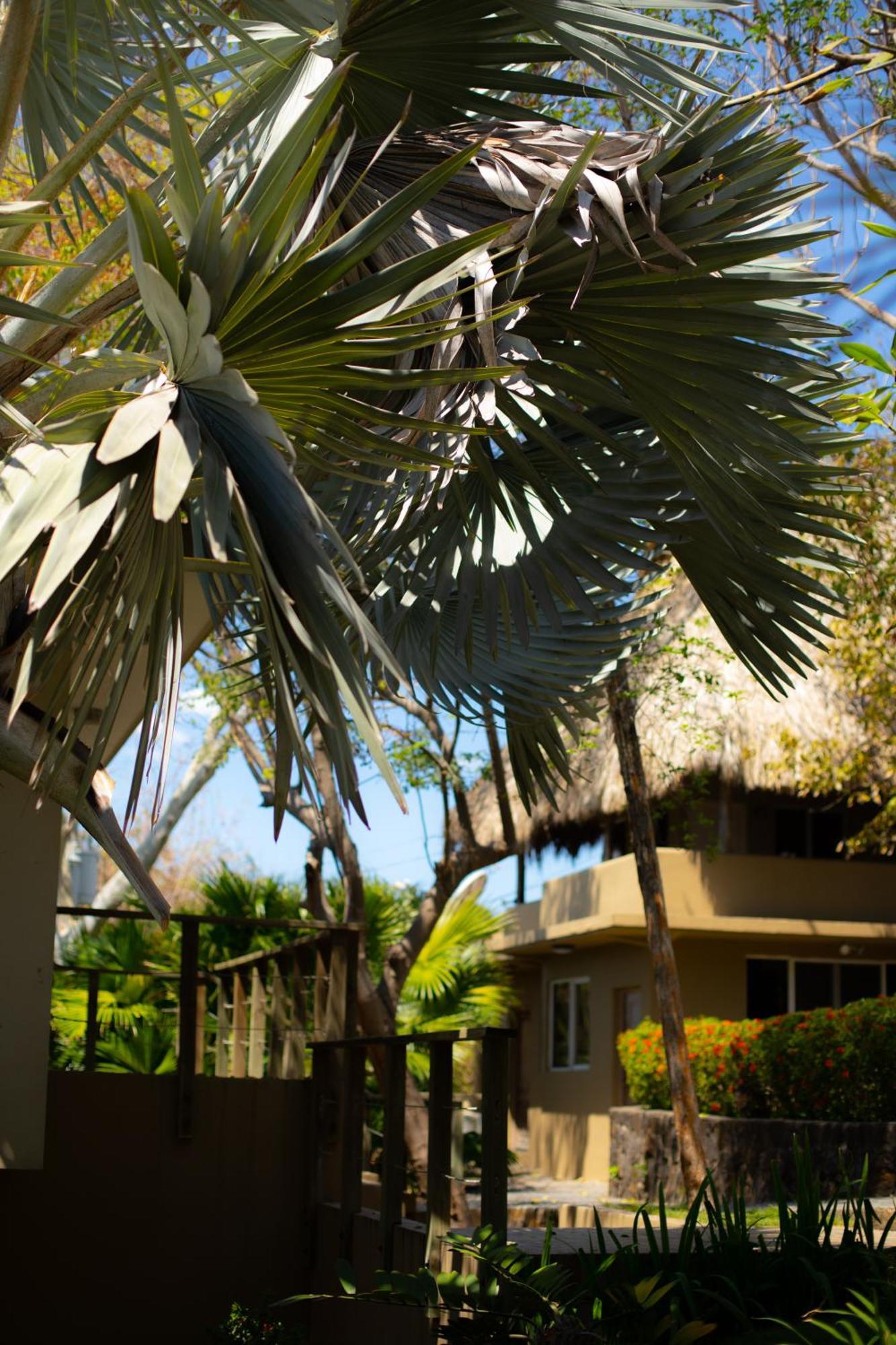 Casa De Mar Hotel And Villas ラ・リベルタード エクステリア 写真